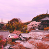 高野山真言宗、浄土宗　當麻寺