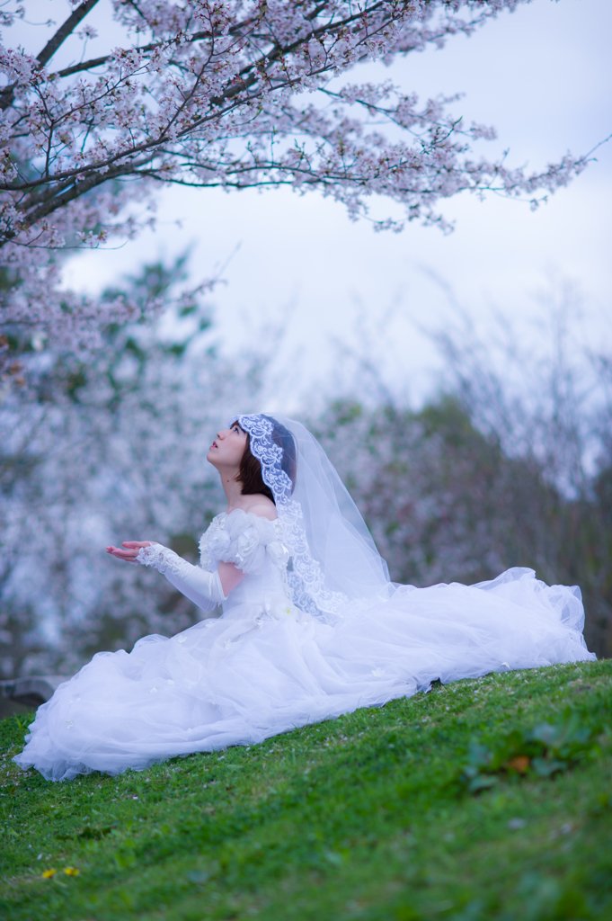 model:M