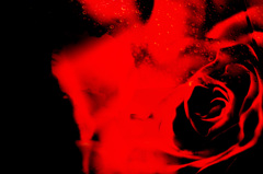 rosso