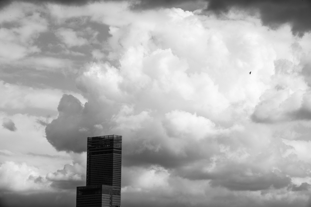 ハルカスと雲と鳥