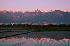 朝焼け田鏡逆さ常念岳！
