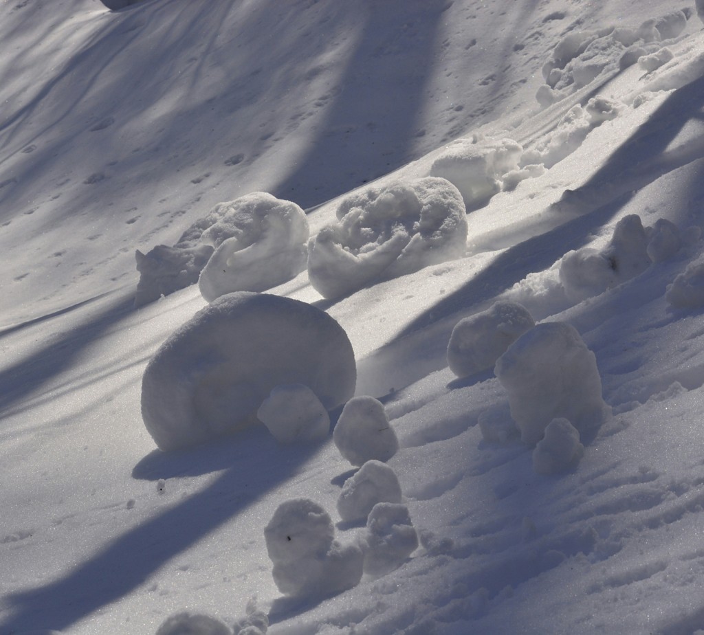 雪山アンモナイト！