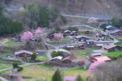 開田高原の春！