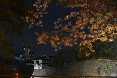 大阪城の堀