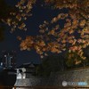 大阪城の堀