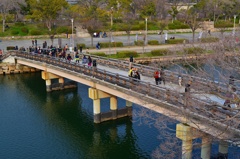 橋
