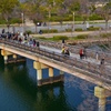 橋