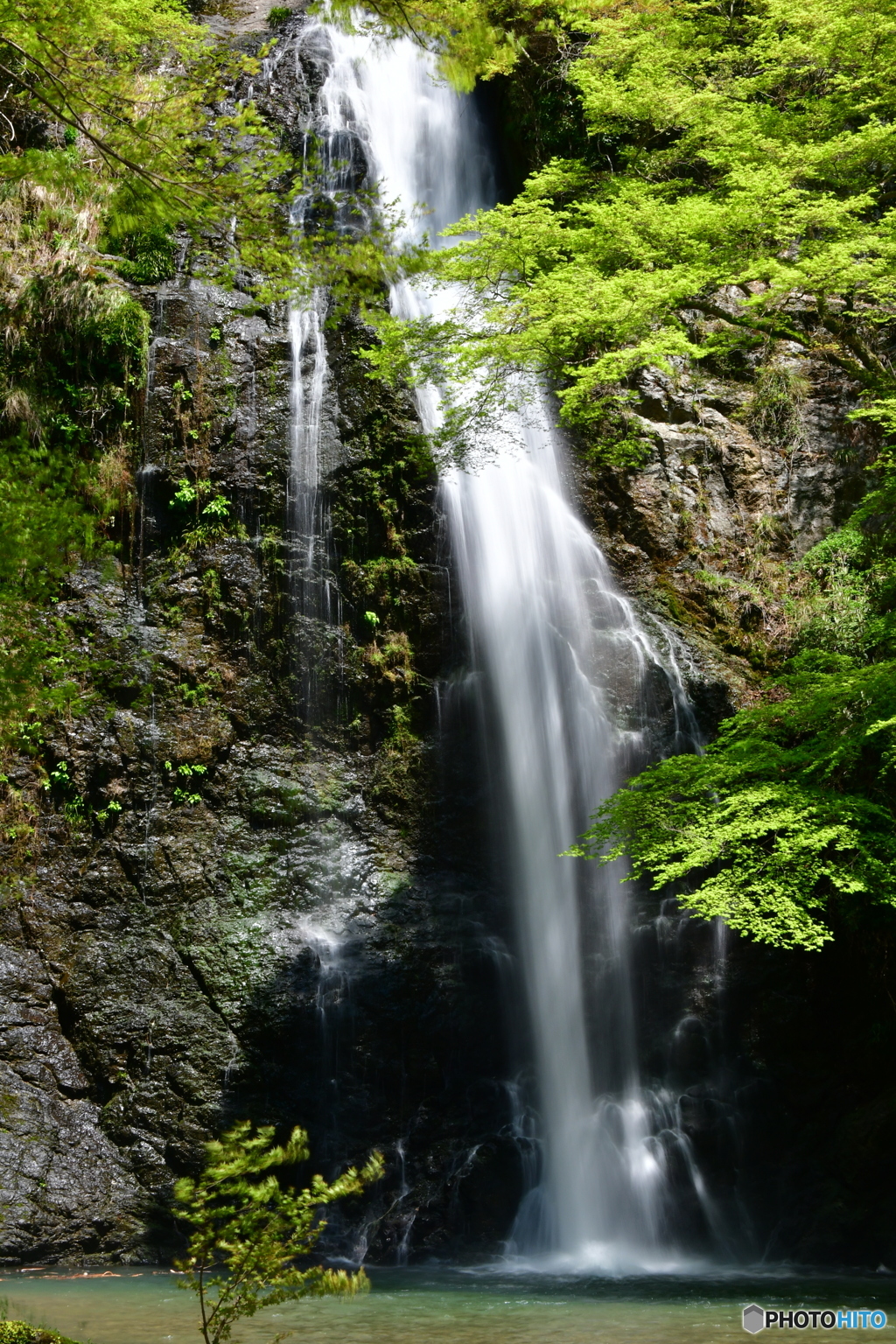箕面の大滝