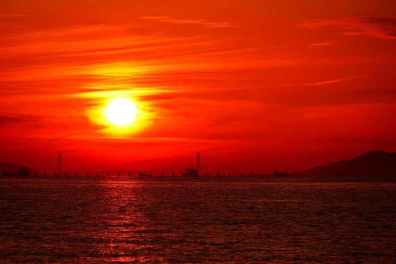 南港からの夕日