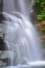 DSC_1969