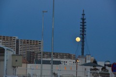 月と鉄塔
