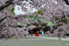 護國神社