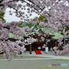 護國神社
