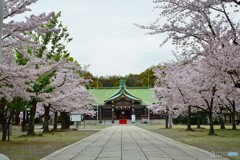 護國神社２