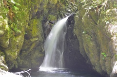 箕面の滝