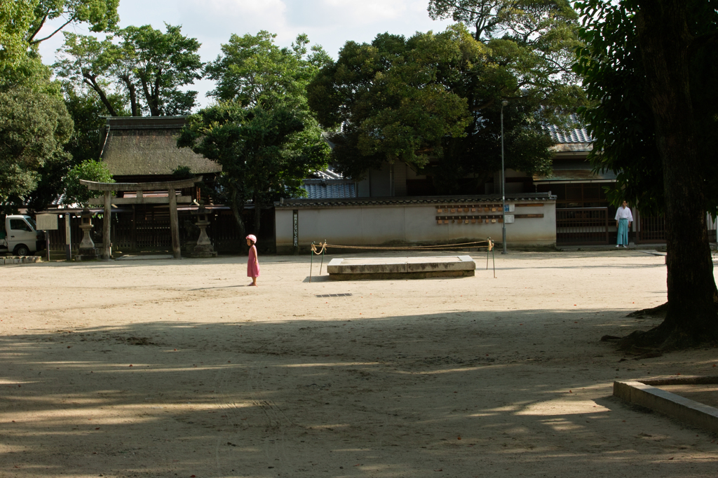 岡町カメラ散歩c