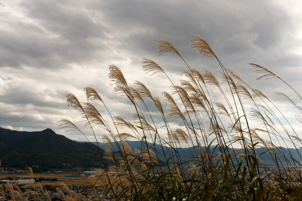 山の秋