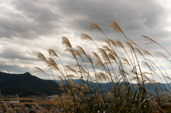 山の秋
