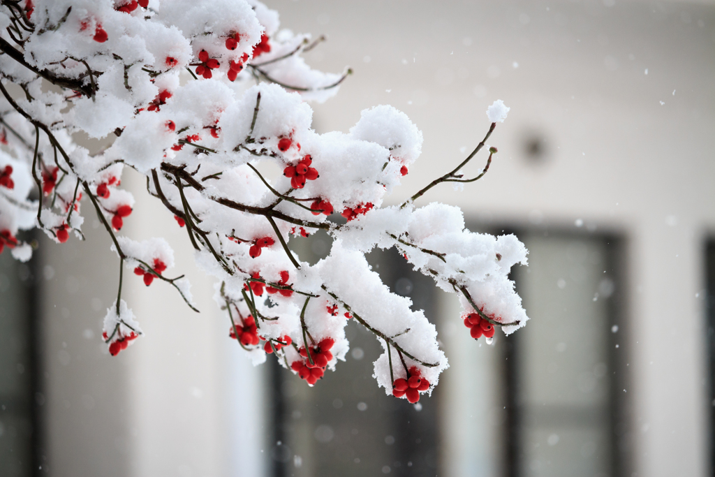 雪花