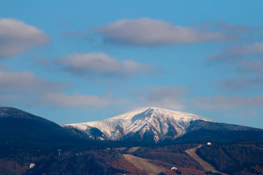 冠雪
