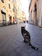 イタリアのシニョールNEKO①