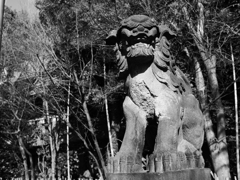 KOMAINU