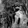 KOMAINU