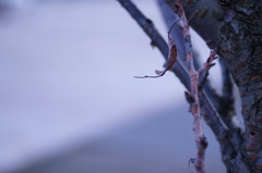 DSC00280