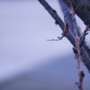 DSC00280
