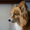 DSC00134