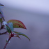 DSC00283