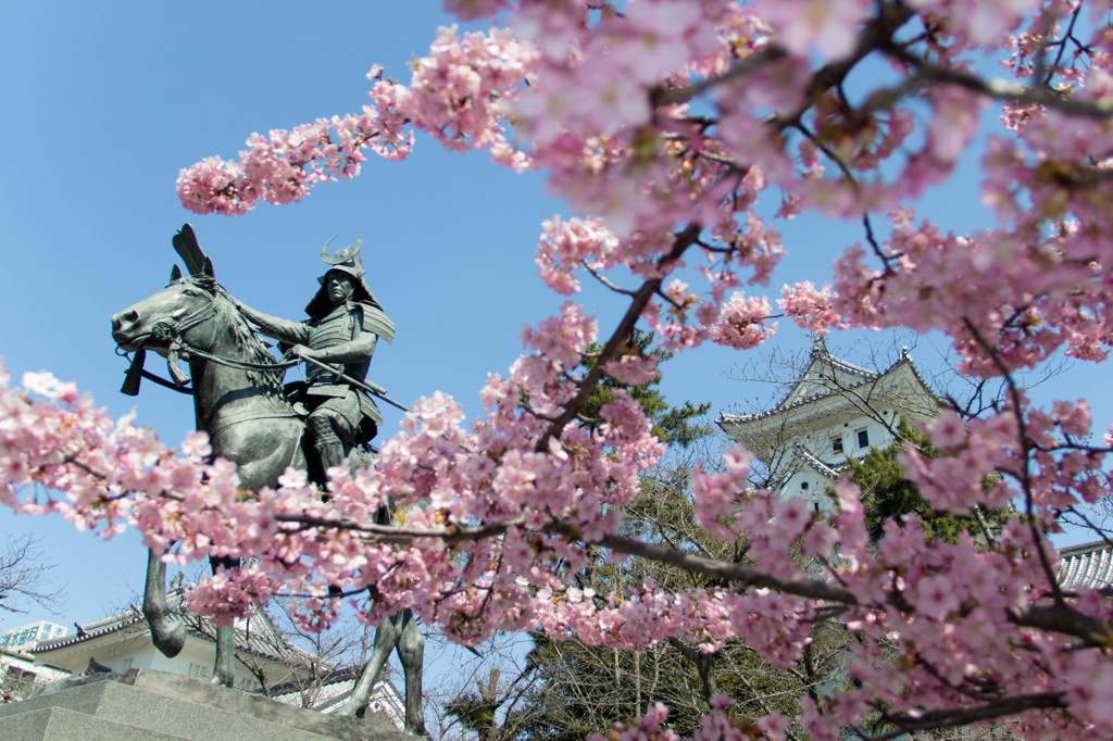 桜を駆る