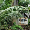 DEAD END