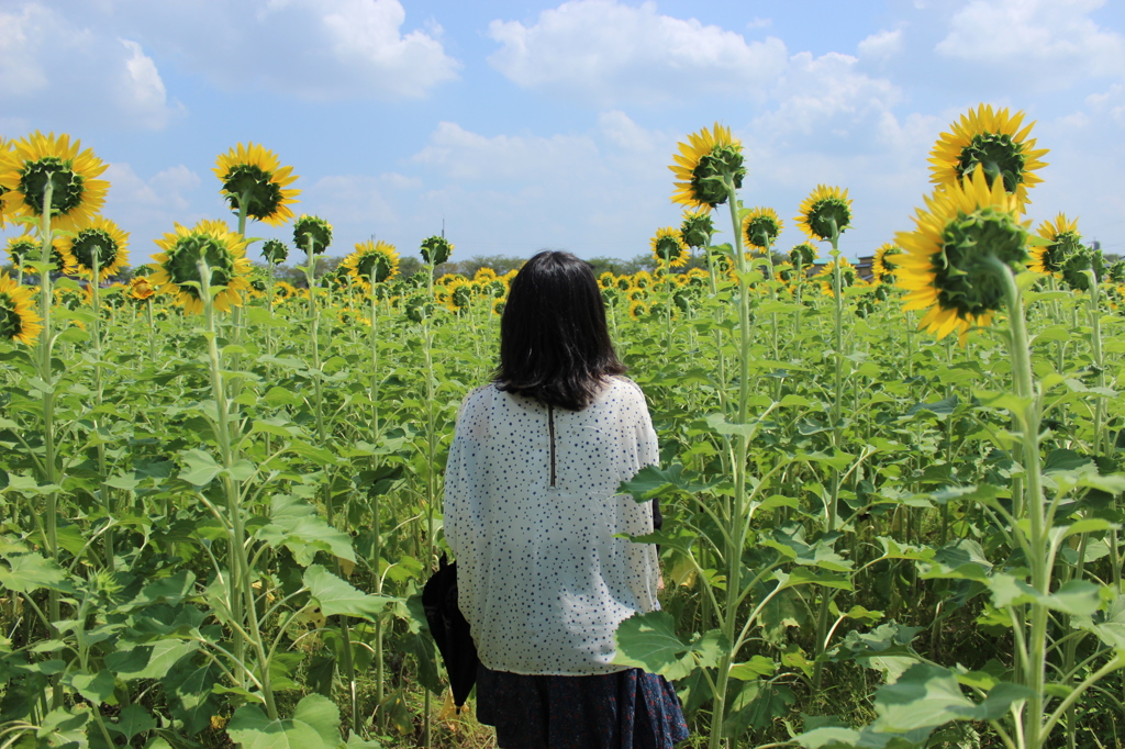 太陽を向いて