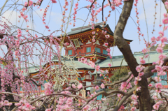 防府天満宮