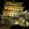 瑠璃光寺五重塔２