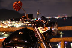 VoltyVIVID