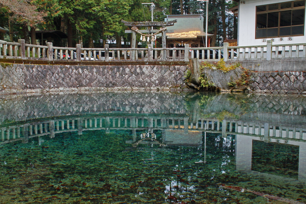 水面に映る風景
