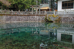 水面に映る風景
