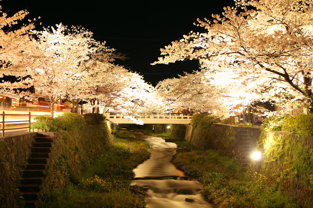 一の坂川