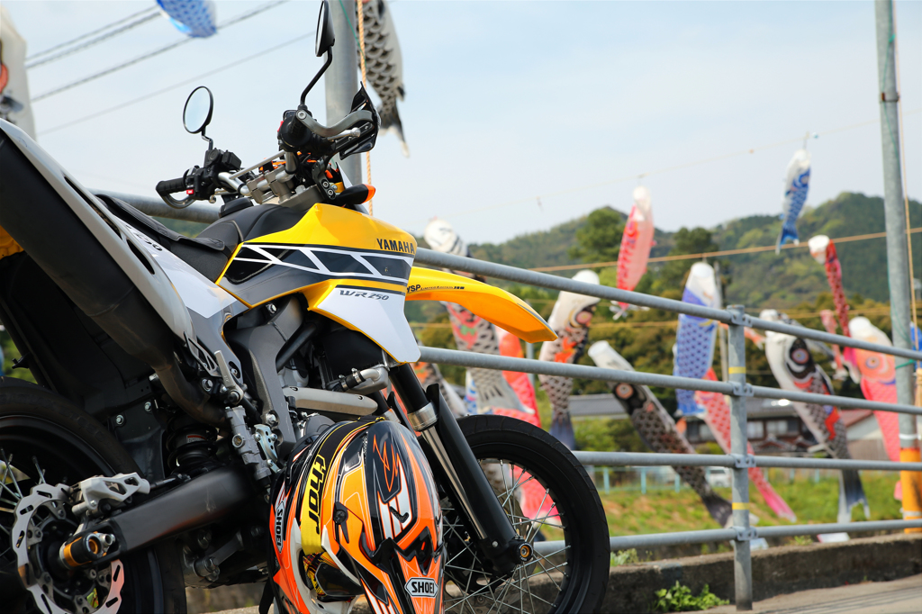 WR250Xと鯉のぼり
