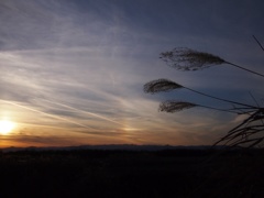 夕暮れ時