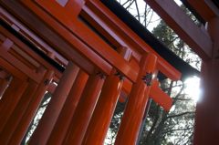 鳥居「奉」