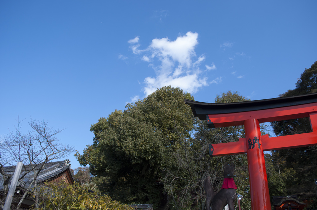 青空と鳥居