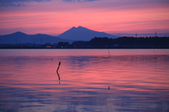 紫峰