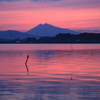 紫峰