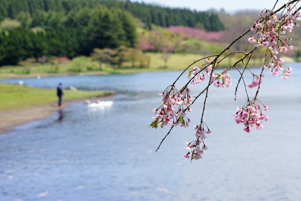 静かな湖