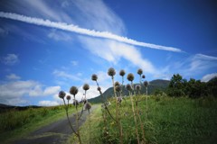 秋の空