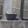 ねこ洗面器？