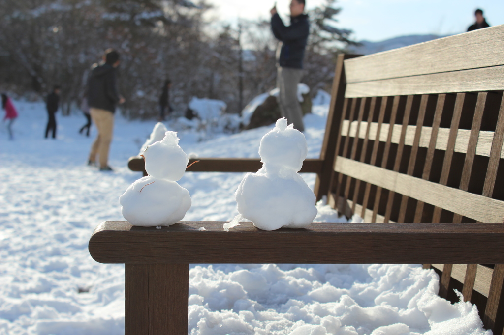 初雪